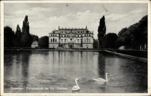 Ak Dresden Altstadt, Schwäne auf dem Palaisteich im Großen Garten