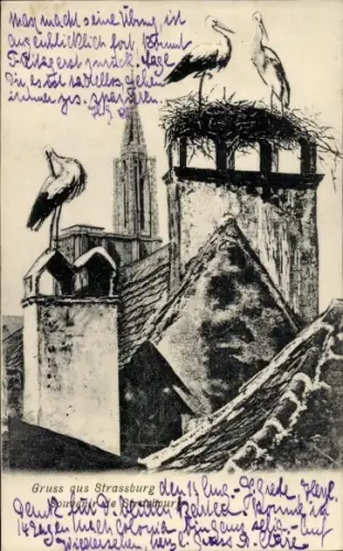 Ak Strasbourg Straßburg Elsass Bas Rhin, Storchennest auf Schornstein, Störche