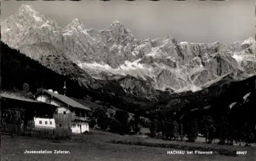 Ak Filzmoos im Pongau in Salzburg, markante Bergkette mit steilen Felswänden, Almwiese, Nadelbäum
