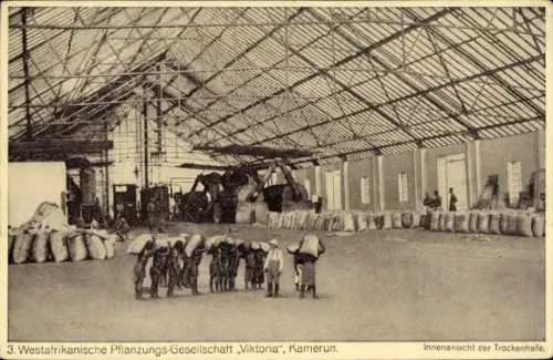 Ak Kamerun, Westafrikanische Pflanzengesellschaft Viktoria, Innenansicht der Trockenhalle