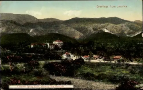 Ak Jamaica, Constant Spring Hotel, showing Blue Mountain, Berglandschaft