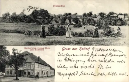 Ak Hattorf Wolfsburg in Niedersachsen, Totalansicht, Gasthof zum weißen Ross