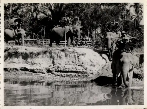 Foto Vietnam, Elefanten am Wasser