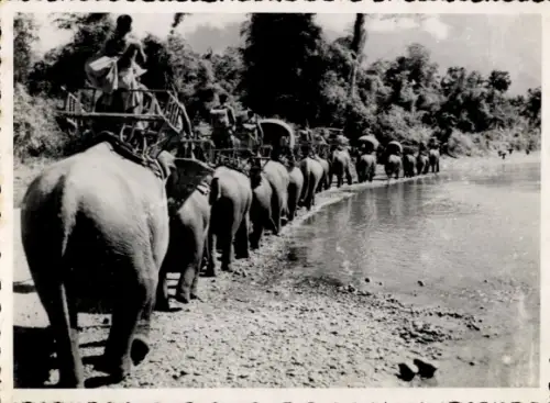 Foto Vietnam, Elefanten am Wasser