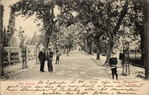 PC Cape Town, South Africa, The Avenue