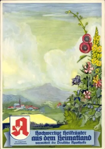 Künstler Ak Heilkräuter, Deutsche Apotheke Werbung, Heilkräuter, Blumen, Panorama eines Orts
