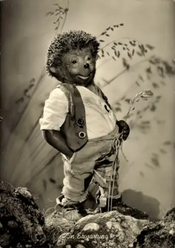 Ak Mecki der Igel, In Erwartung