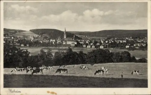 Ak Neheim Arnsberg im Sauerland,  Sauerland, Möhne- und Sorpesee, Kirchturm, Kühe