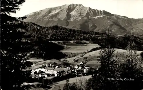 Ak Mitterbach am Erlaufsee Niederösterreich, Gesamtansicht