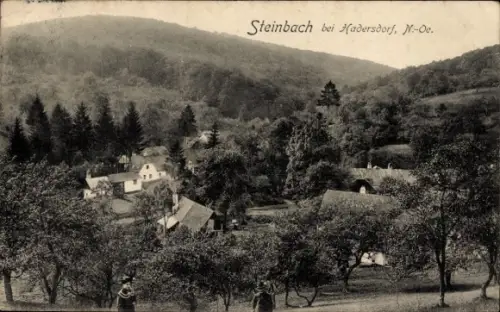 Ak Steinbach Niederösterreich, Gesamtansicht