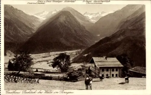 Ak Wald im Pinzgau in Salzburg, Gasthaus Rechteck, Rechtegg, Venedigerblick