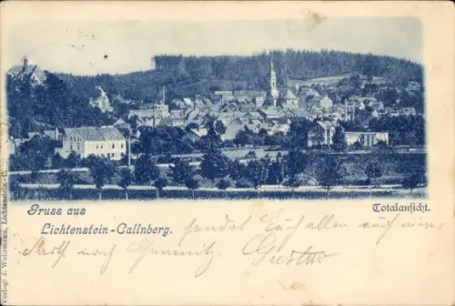 Ak Lichtenstein in Sachsen, Panorama