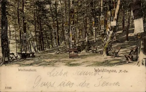 Ak Wien Penzing Hadersdorf Weidlingau, Waldansicht