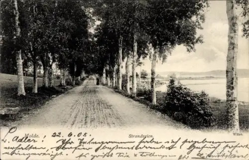 Ak Molde Norwegen,  Strandveien, Wilse