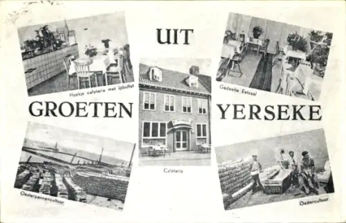 Ak Yerseke Zeeland, Cafetaria, Austernkultur