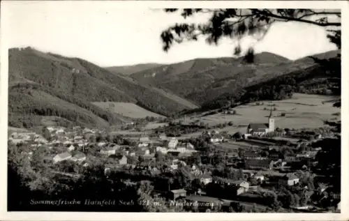 Ak Hainfeld in Niederösterreich, Talpanorama, Dorf mit Kirche und Turm, Wohnhäuser, Felder, Wiese