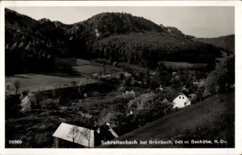 Ak Schrattenbach Niederösterreich, Panorama