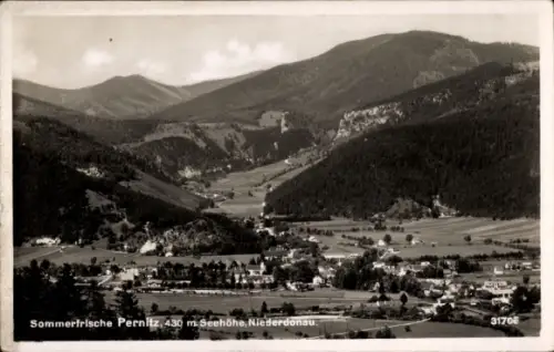 Ak Pernitz Niederösterreich, Bergtal mit Dorf, Felder und Höfe, bewaldete Berge, Kirchturm, Besch