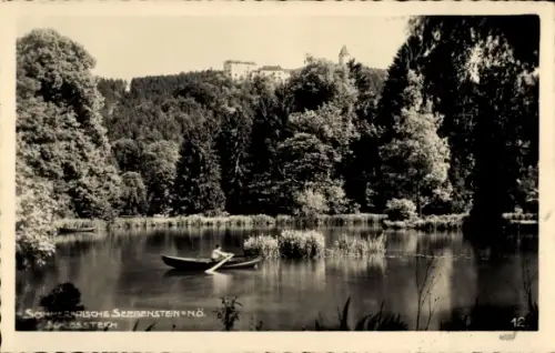 Ak Seebenstein in Niederösterreich, See mit Ruderboot, Schilfinseln, Uferbäume, dichter Wald, Hüg