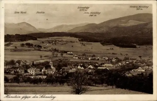 Ak Grillenberg Hernstein Niederösterreich, Dorfpanorama mit Kirche, Häusern und Gehöften, Felder 