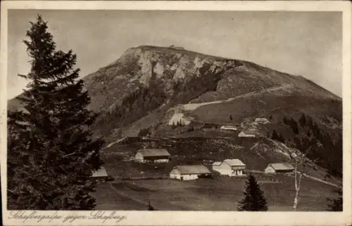 Ak Schafberg im Salzkammergut in Salzburg, Felsiger Berggipfel, mehrere Hütten am Hang, Nadelbaum
