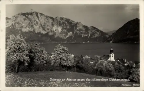 Ak Unterach am Attersee Oberösterreich, Seeufer mit Dorf, Kirche mit Zwiebelturm, Wiese und Bäume