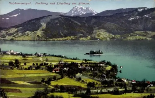 Ak Attersee im Salzkammergut Oberösterreich, See mit Insel und Kirche, Ufer mit Häusern, Felder i