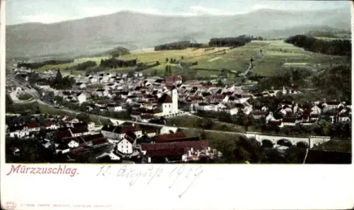 Ak Mürzzuschlag Steiermark, Panorama