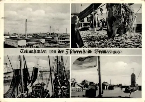 Ak Bremerhaven, Teilansichten, Fischfang, Fischkutter, Hafen