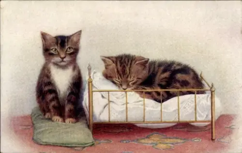 Künstler Ak Zwei junge Katzen, sitzend auf einem Kissen, schlafend in einem Puppenbett