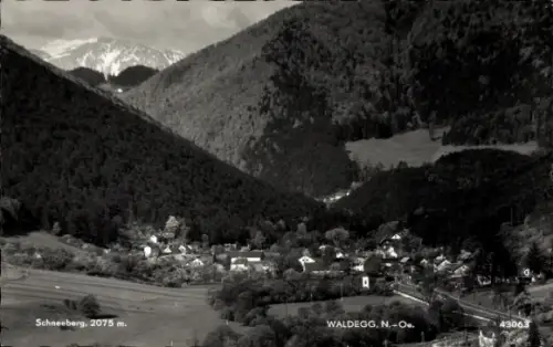 Ak Waldegg in Niederösterreich, Dorf im Tal, Kirche, Häuser, Felder im Vordergrund, bewaldete Ber
