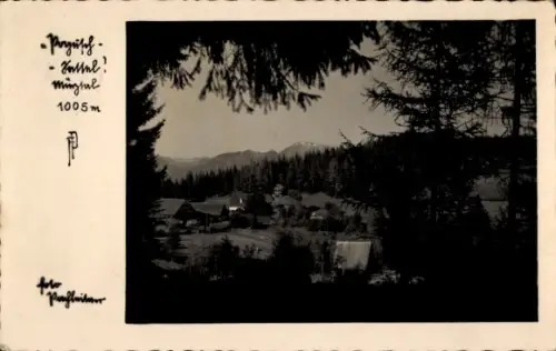 Foto Ak St. Lorenzen im Mürztal Steiermark, Pogusch-Sattel
