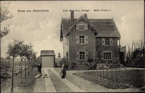 Ak Diebolsheim Elsass Bas Rhin, Villa Mosquito Cottage