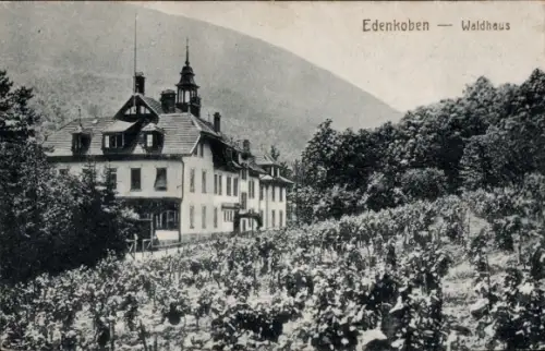 Ak Edenkoben an der Haardt Pfalz, Waldhaus