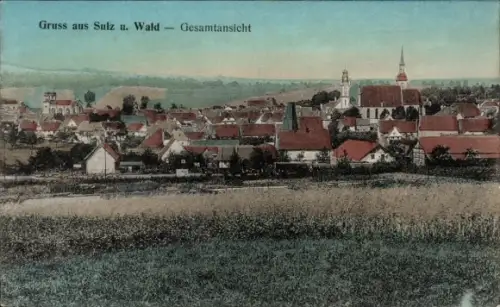 Ak Soultz sous Forêts Sulz unterm Wald Elsass Bas Rhin, Gesamtansicht