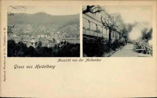 Ak Heidelberg am Neckar, Aussicht von der Molkenkur