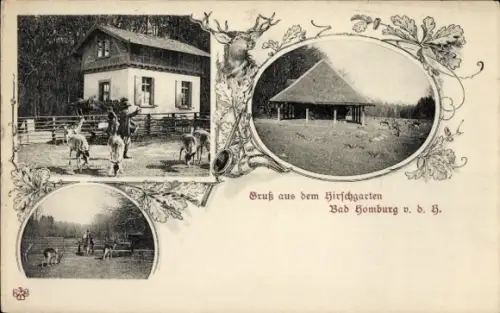 Ak Bad Homburg vor der Höhe Hessen, Hirschgarten