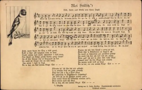 Lied Ak Soph, Hans, Mei Stillitz, Wenn ich halt mein Stillitz su betracht..