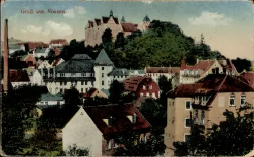 Ak Nossen in Sachsen, Teilansicht