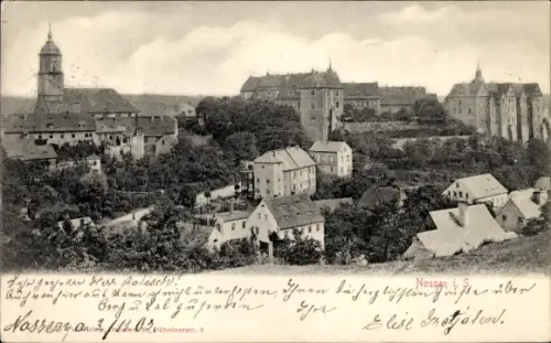 Ak Nossen in Sachsen, Panorama