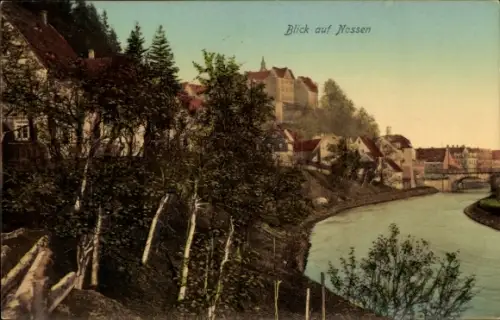 Ak Nossen in Sachsen, Teilansicht