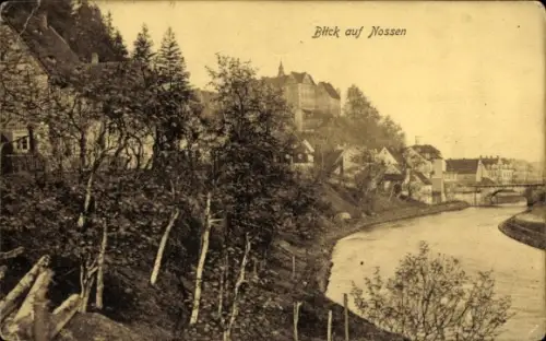 Ak Nossen in Sachsen, Teilansicht