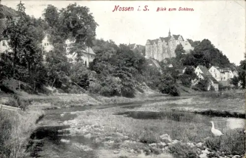 Ak Nossen in Sachsen, Blick zum Schloss
