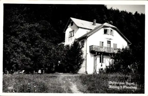Ak Wieselburg an der Erlauf Niederösterreich, Waldpension