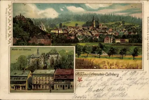 Künstler Ak Dutzauer, Max, Lichtenstein Callnberg Sachsen, Gesamtansicht, Markt mit Schloss