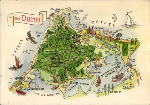 Landkarten Künstler Ak Hoppe, Der Darß, Prerow, Ahrenshoop, Bernstein-Insel, Ostsee