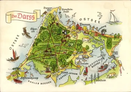 Landkarten Künstler Ak Hoppe, Der Darß, Prerow, Ahrenshoop, Bernstein-Insel, Ostsee