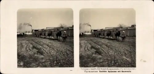 Stereo Foto Turkestan Türkistan Kasachstan, Karawane, Kamele beladen mit Baumwolle