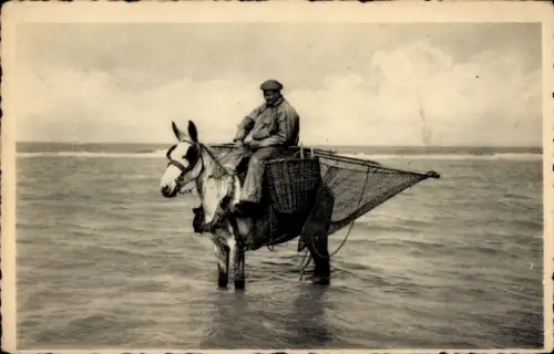 Ak Nieuport Bains Nieuwpoort Westflandern, Fischer auf einem Pferd