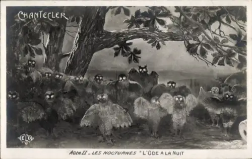 Ak Chantecler, Acte II, Les Nocturnes, L'Ode a la Nuit